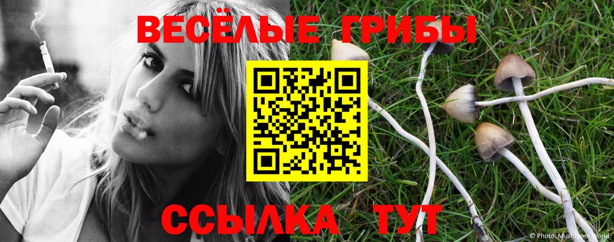 Ухта  Галлюциногенные грибы GOLDEN TEACHER  цена наркотик  Вход с VPN 
